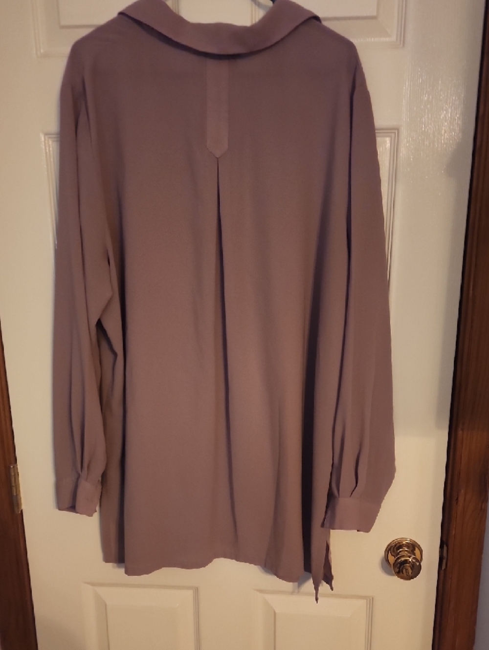 Light Mauve Button-Up Blouse - Picture 7 of 7